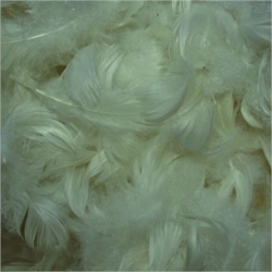 Mélange de plumes et de fibres polyester - Sac de 1kg 